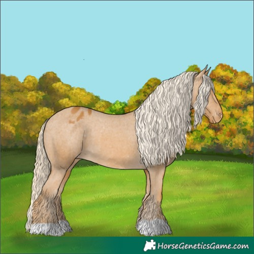 Horse Color:Palomino Varnish 