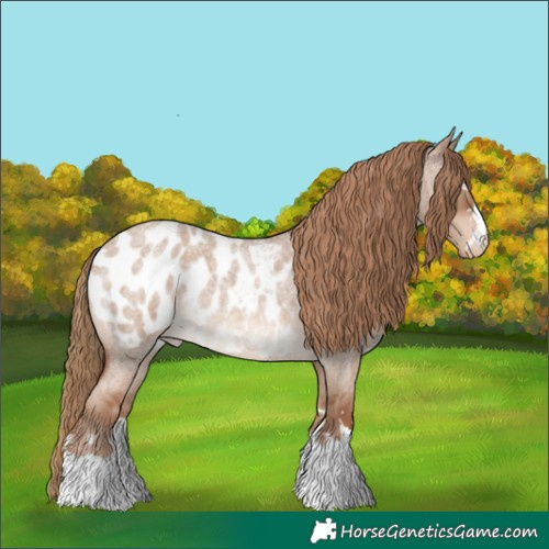 Horse Color:Red Dun Roan Blanket