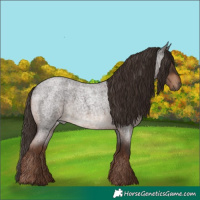Horse Color:Liver Red Roan 