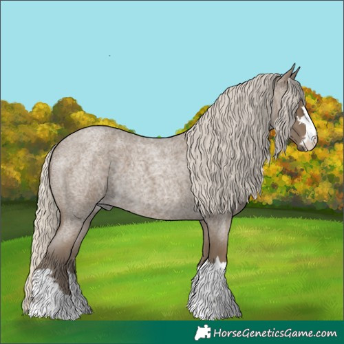 Horse Color:Silver Smoky Blue Roan 
