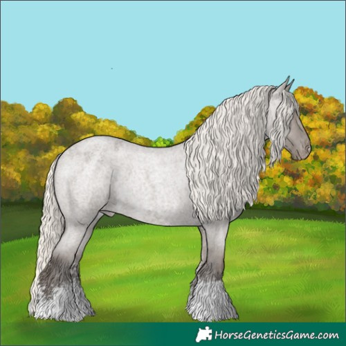 Horse Color:Silver Smoky Grullo Roan Sabino Varnish 