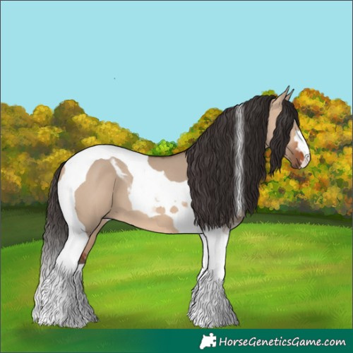 Horse Color:Bay Dun Tobiano 