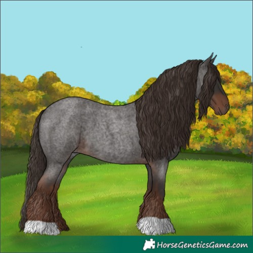 Horse Color:Liver Red Roan 
