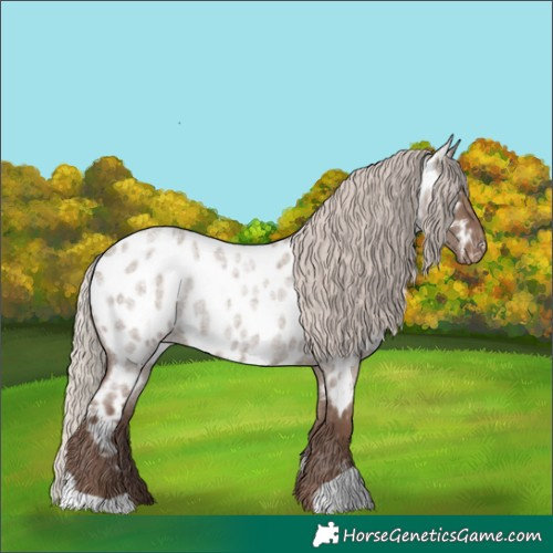 Horse Color:Silver Grullo Roan Near Leopard 