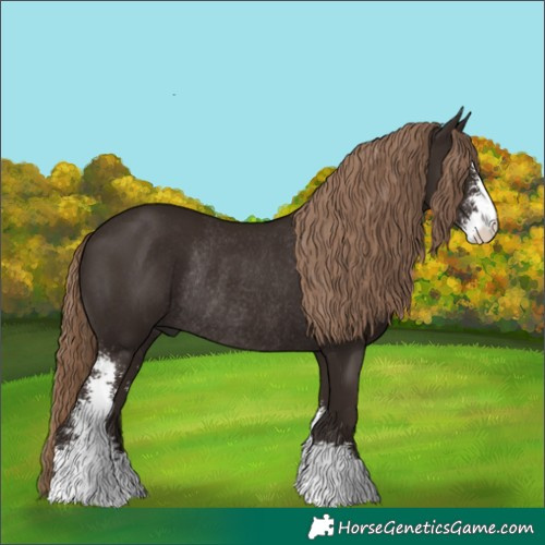 Horse Color:Liver Chestnut Sabino Rabicano 