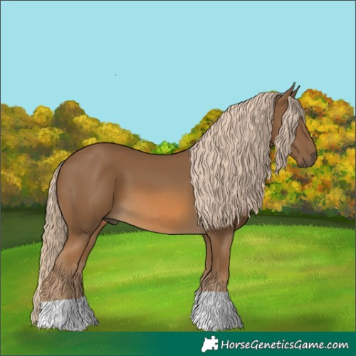 Horse Color:Chocolate Palomino 