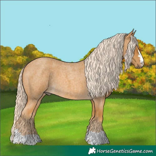 Horse Color:Palomino Roan 