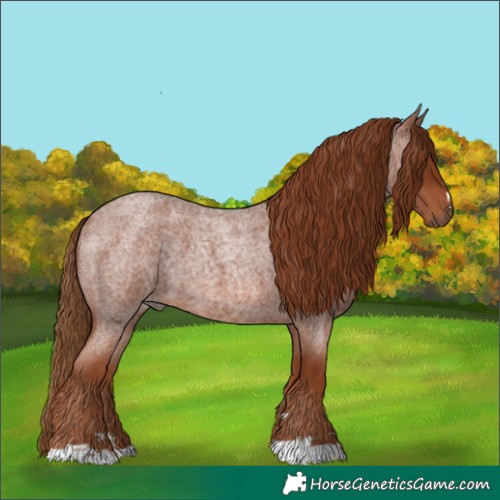 Horse Color:Red Roan 