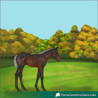 Horse Color:Silver Brown 