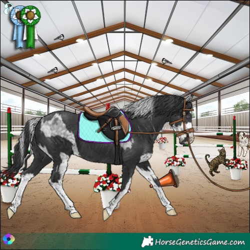 Horse Color:White Spotted Silver Grullo Chinchilla Ice Brindle  and Black 