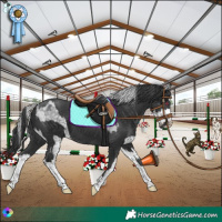 Horse Color:White Spotted Silver Grullo Chinchilla Ice Brindle  and Black 