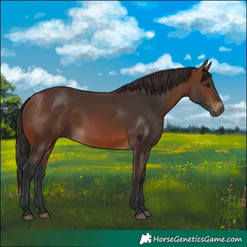 Horse Color:Brown 