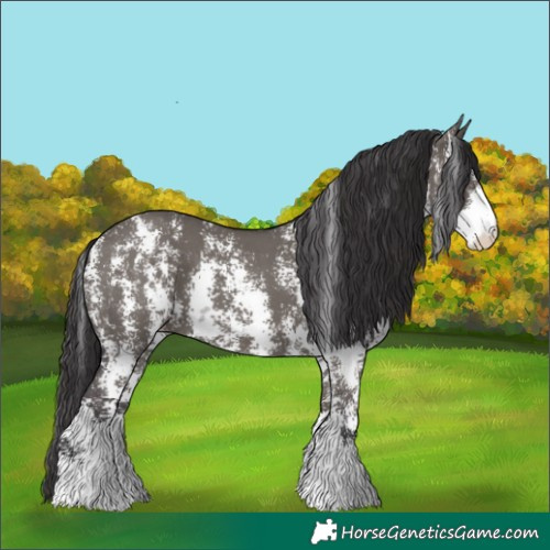 Horse Color:Smoky Grullo Sabino