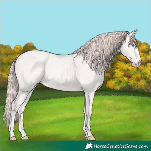 Horse Color:Perlino Sabino