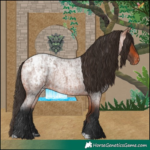 Horse Color:Bay Roan Appaloosa  and Bay Roan Appaloosa 