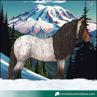 Horse Color:Bay Roan Blanket  and Bay Roan Blanket 