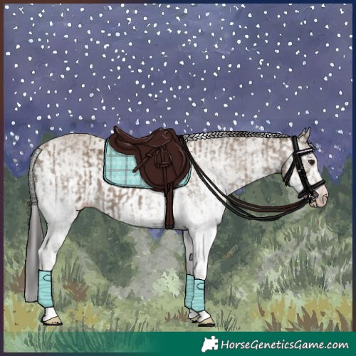 Horse Color:Gray White Spotted Classic Champagne  and Gray White Spotted Classic Champagne 