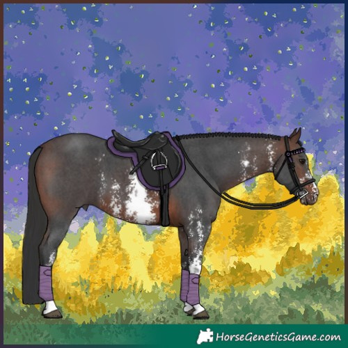 Horse Color:Brown Sabino