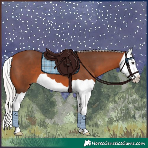 Horse Color:Silver Brown Splash 