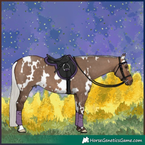 Horse Color:White Spotted Silver Brown Dun 