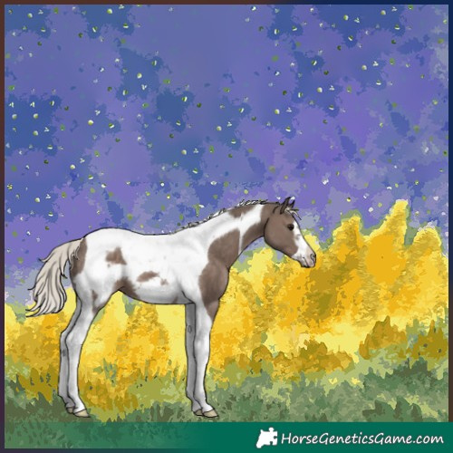 Horse Color:Silver Black Tobiano Frame