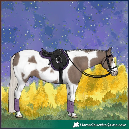 Horse Color:Silver Black Tobiano Frame 