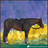 Horse Color:Brown 