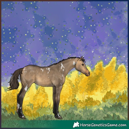 Horse Color:White Spotted Buckskin Dun 
