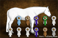 Horse Color:Gray Blue Roan