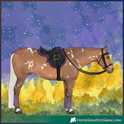 Horse Color:White Spotted Silver Bay Tobiano 