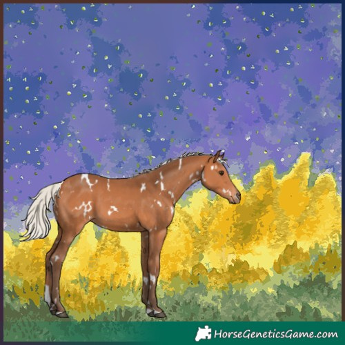 Horse Color:White Spotted Silver Bay Tobiano 