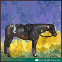 Horse Color:White Spotted Brown 