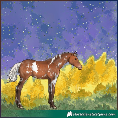 Horse Color:White Spotted Silver Brown Appaloosa 