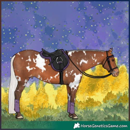 Horse Color:White Spotted Silver Brown Appaloosa 
