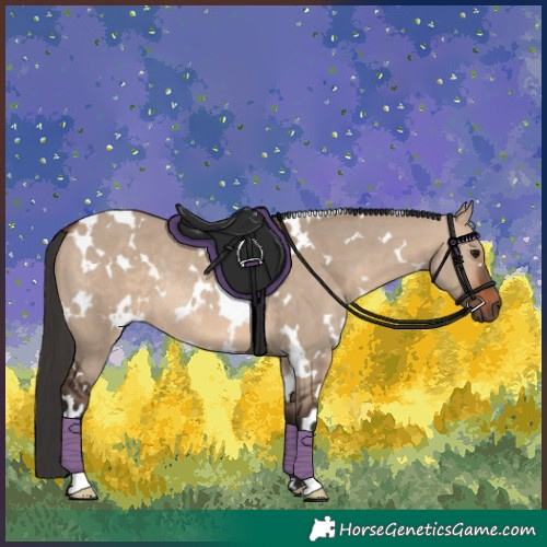 Horse Color:White Spotted Brown Dun Rabicano 