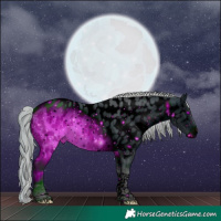 Horse Color:ERROR: UNKNOWN ANOMALY