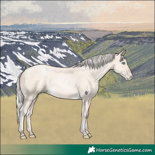 Horse Color:Silver Amber Cream Champagne Pearl 