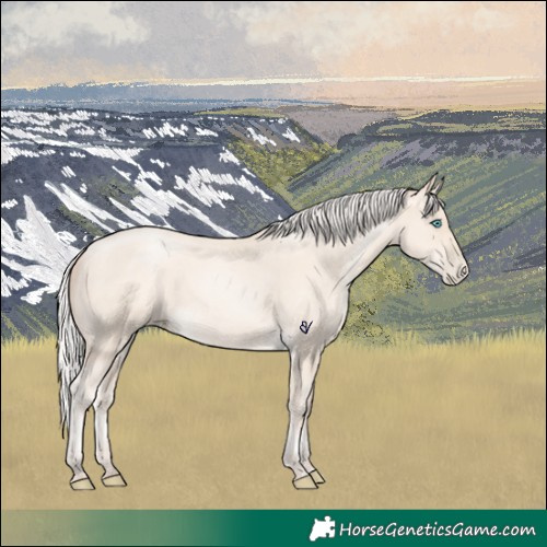 Horse Color:Silver Amber Cream Champagne Pearl 