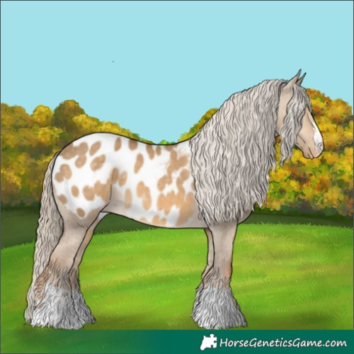 Horse Color:Chocolate Palomino Dun Appaloosa 