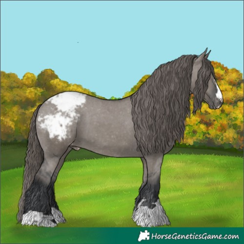 Horse Color:Grullo Snowcap 
