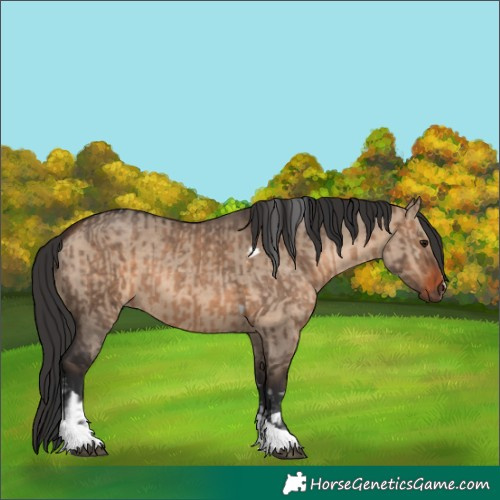 Horse Color:Brown Dun Tobiano and Brown Dun Tobiano