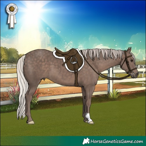 Horse Color:Silver Black 
