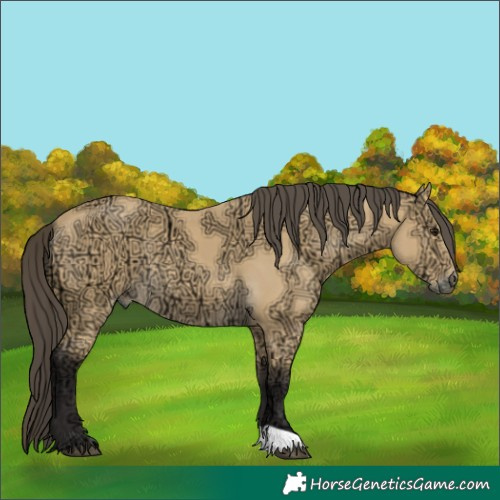 Horse Color:Buckskin Ice 