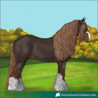 Horse Color:Liver Chestnut Rabicano 