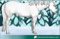 Horse Color:Gold Cream Champagne Pearl Dun Sabino Tobiano Appaloosa 