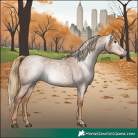 Horse Color:Gray Red Roan 