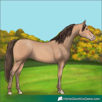 Horse Color:Amber Champagne 