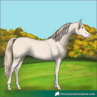 Horse Color:Perlino 