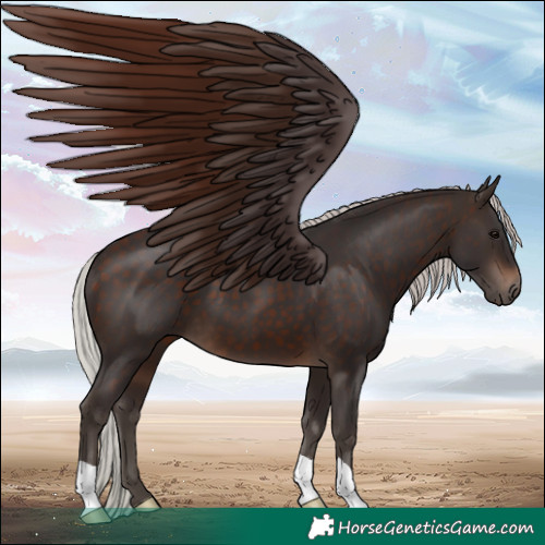 Horse Color:Silver Brown 