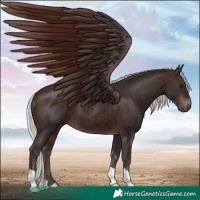 Horse Color:Silver Brown